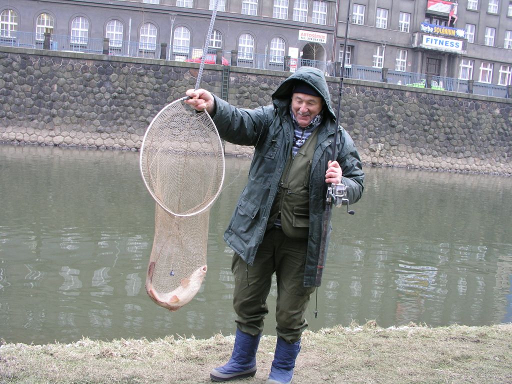 Je to tam, mladá paní!.jpg