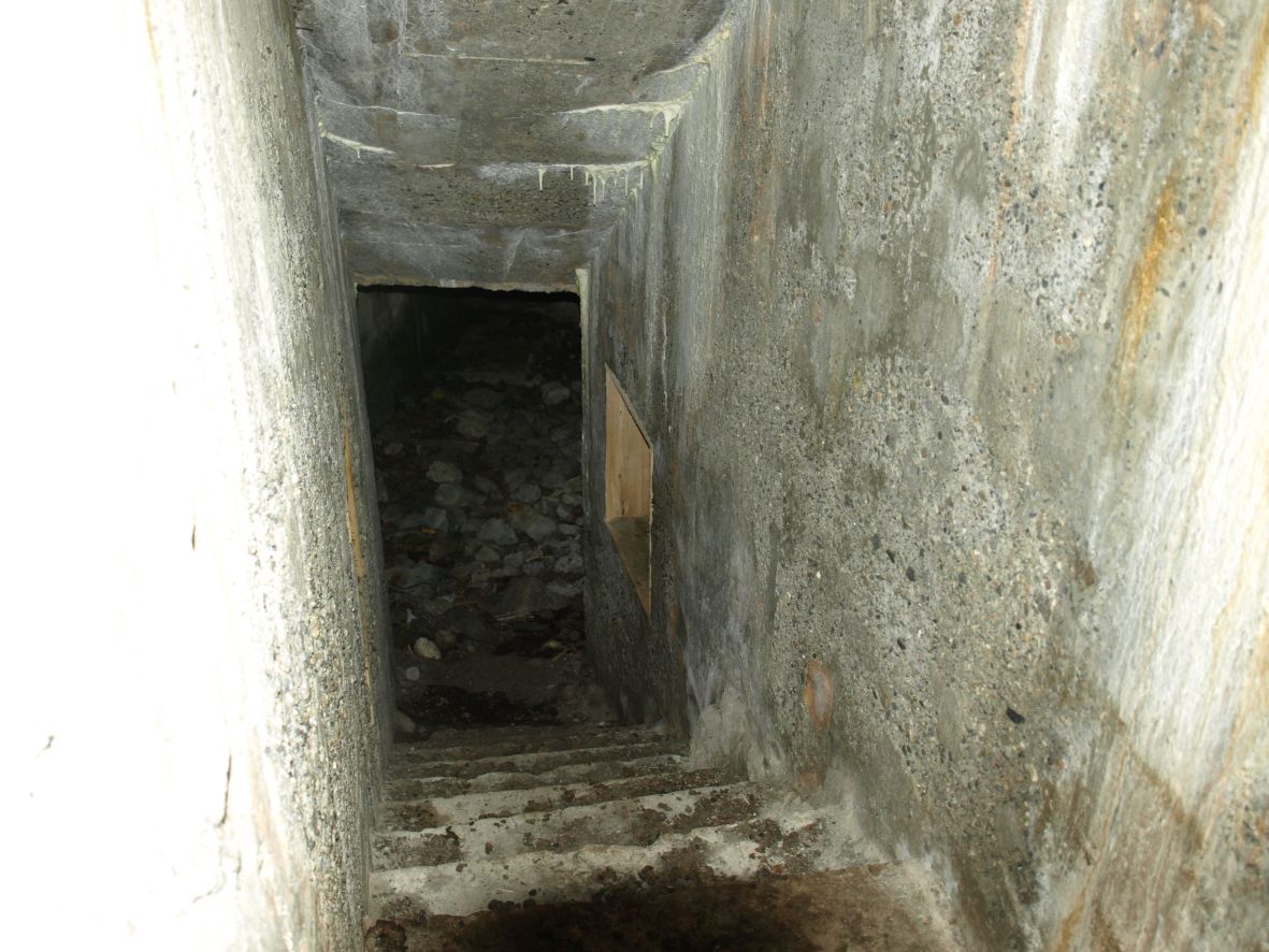 n43.jpg