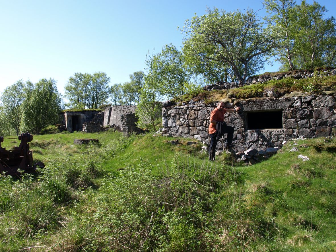 n53.jpg