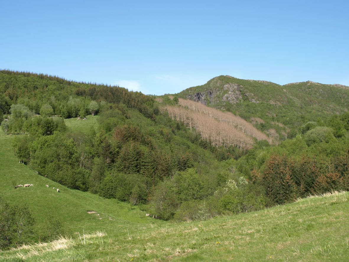n57.jpg